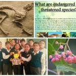 Learning about endangered and extinct species of plants and animals