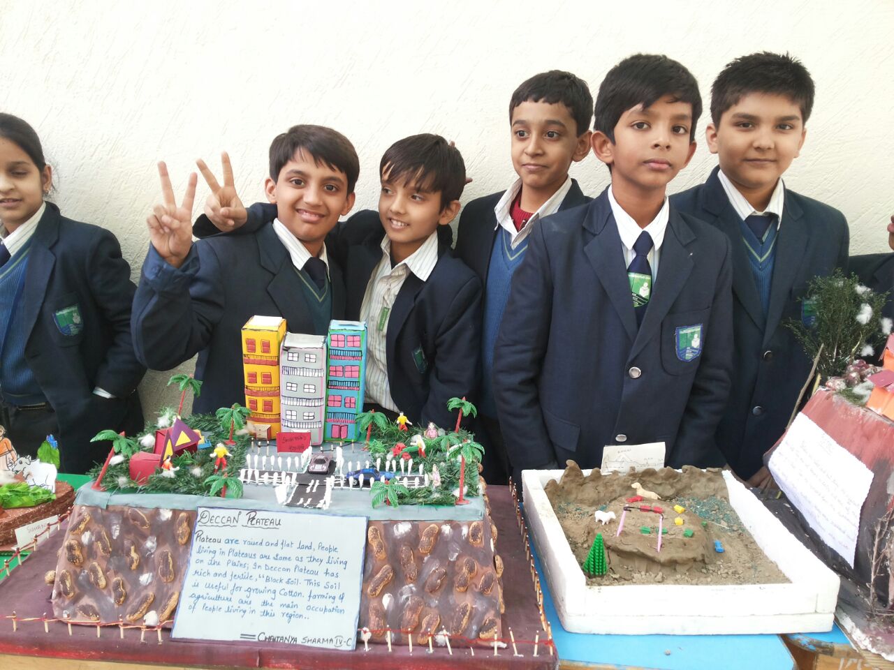 Class VI- EVS Projects